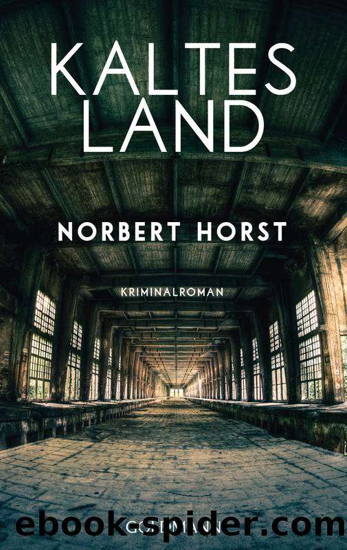 [Kommissar Steiger 03] â¢ Kaltes Land by Horst Norbert