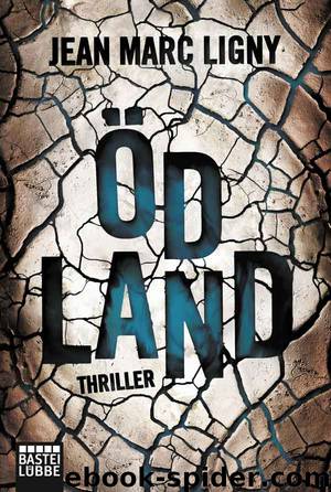 Ödland - Thriller by Bastei Lübbe