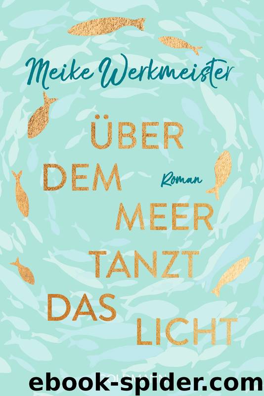 Über dem Meer tanzt das Licht: Roman (German Edition) by Werkmeister Meike