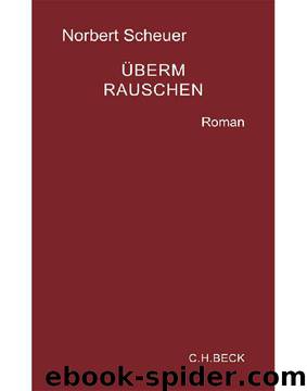 Überm Rauschen: Roman (German Edition) by Scheuer Norbert