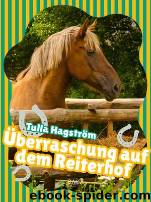 Überraschung auf dem Reiterhof by Tulla Hagström