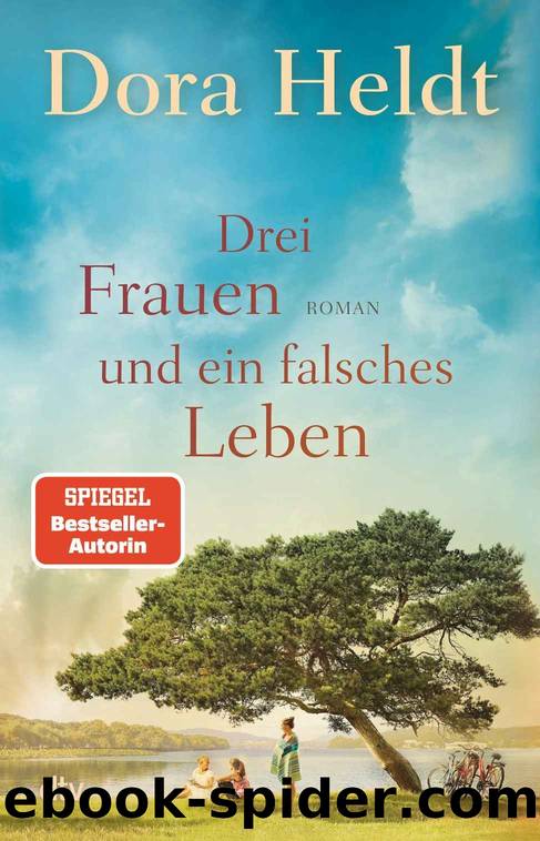 003 - Drei Frauen und ein falsches Leben by Dora Heldt