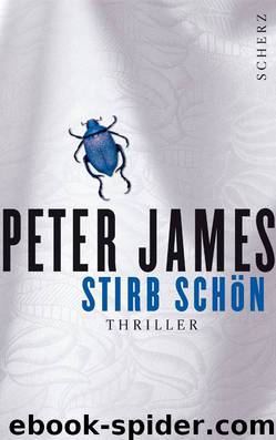 02 - Stirb schön by Peter James