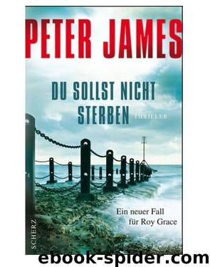 06 - Du sollst nicht sterben by Peter James