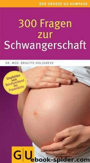 300 Fragen zur Schwangerschaft by Brigitte Holzgreve