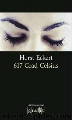 617 Grad Celsius by Horst Eckert