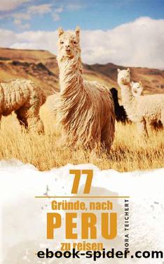 77 Gründe, nach Peru zu reisen: Von Machu Picchu, Ceviche und Bärenmenschen (German Edition) by Nora Teichert