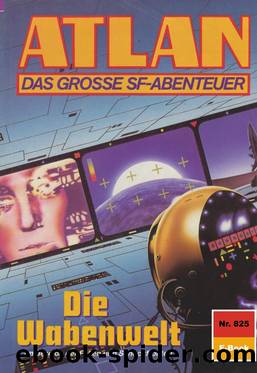 825 Die Wabenwelt by Peter Terrid