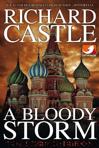 A Bloody Storm by Richard Castle