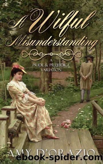 A Wilful Misunderstanding: A Pride & Prejudice Variation by D'Orazio Amy