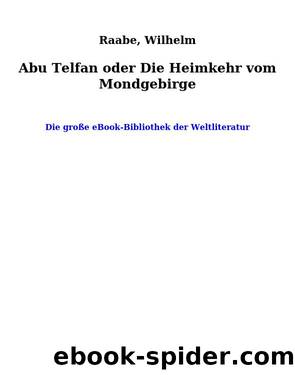 Abu Telfan oder Die Heimkehr vom Mondgebirge by Raabe Wilhelm