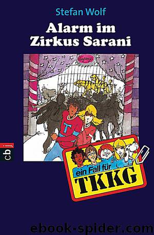 Alarm im Zirkus Sarani by Wolf Stefan