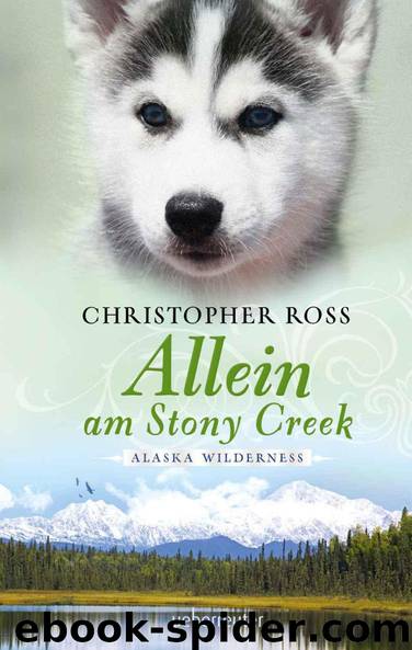 Allein am Stony Creek by Christopher Ross