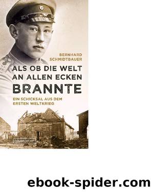 Als ob die Welt an allen Ecken brannte - ein Schicksal aus dem Ersten Weltkrieg by Neues Leben