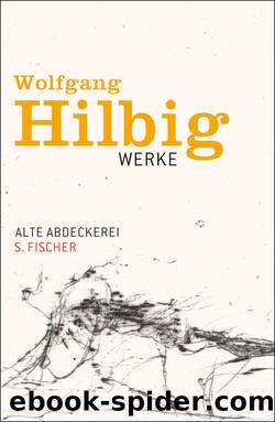 Alte Abdeckerei . Erzählung by Wolfgang Hilbig