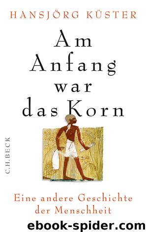 Am Anfang war das Korn - eine andere Geschichte der Menschheit by Küster Hansjörg