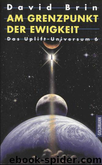 Am Grenzpunkt der Ewigkeit by David Brin