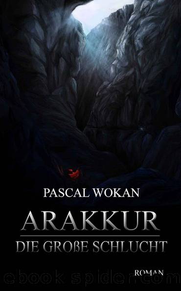 Arakkur: Die große Schlucht (German Edition) by Pascal Wokan