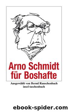 Arno Schmidt für Boshafte by Insel Verlag