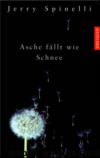 Asche fällt wie Schnee by Jerry Spinelli