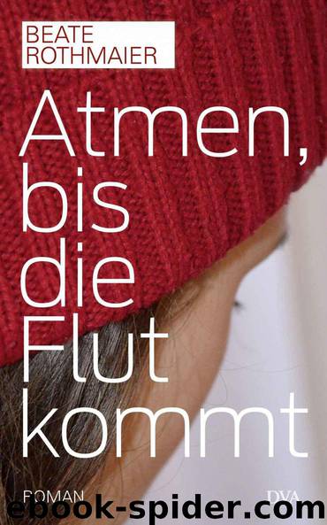 Atmen, bis die Flut kommt: Roman (German Edition) by Rothmaier Beate