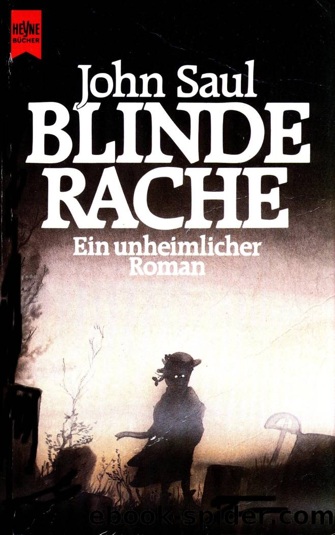 BLINDE RACHE by John Saul