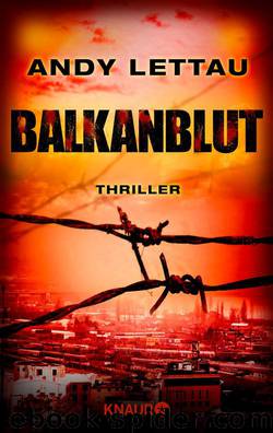 Balkanblut  Thriller by Andy Lettau