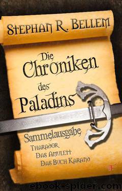 Bellem, Stephan R. - Die Chroniken des Paladins 01 by 03