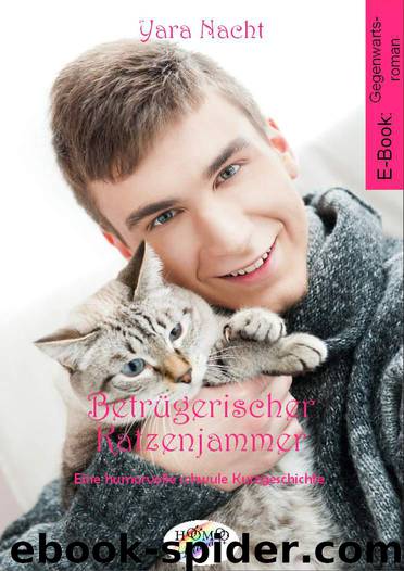 Betrügerischer Katzenjammer - Eine humorvolle schwule Kurzgeschichte (German Edition) by Nacht Yara