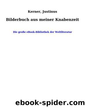 Bilderbuch aus meiner Knabenzeit by Kerner Justinus