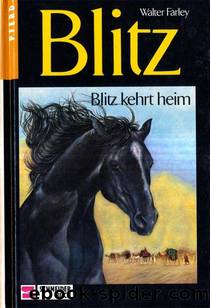 Blitz kehrt heim by Farley Walter