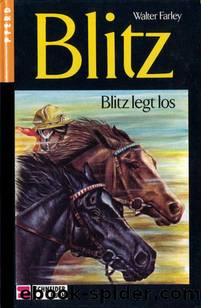 Blitz legt los by Farley Walter