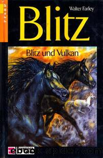 Blitz und Vulkan by Farley Walter