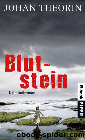 Blutstein by Johan Theorin