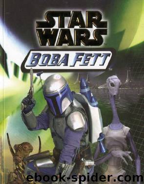 Boba Fett 1 - Der Kampf ums Überleben by Terry Bisson