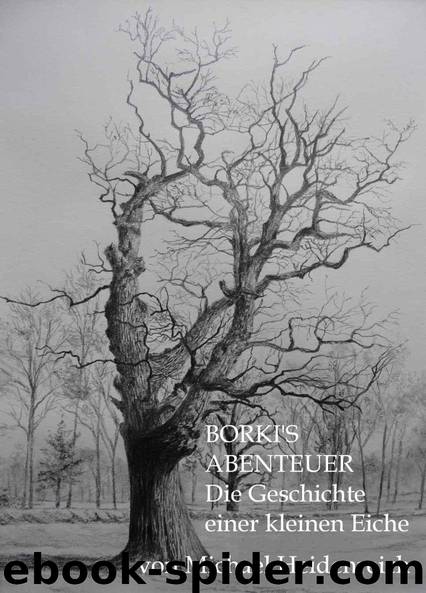 Borki's Abenteuer by Michael Heidenreich