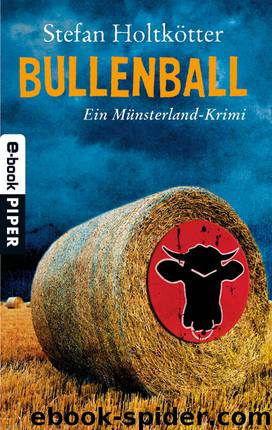 Bullenball by Stefan Holtkötter