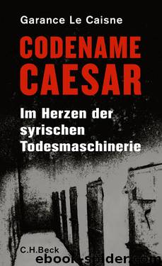 Codename Caesar by Le Caisne Garance