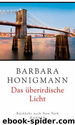 Das überirdische Licht, Rückkehr nach New York by Barbara Honigmann