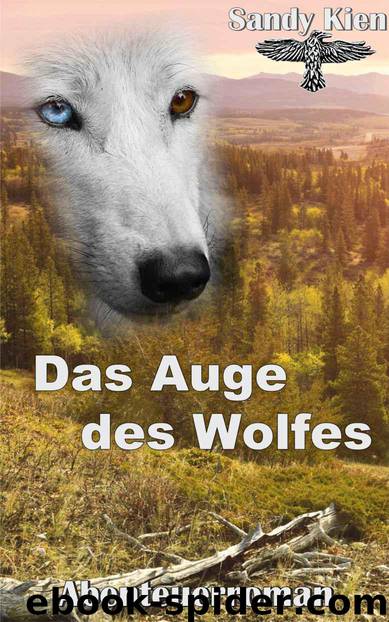 Das Auge des Wolfes by Sandy Kien