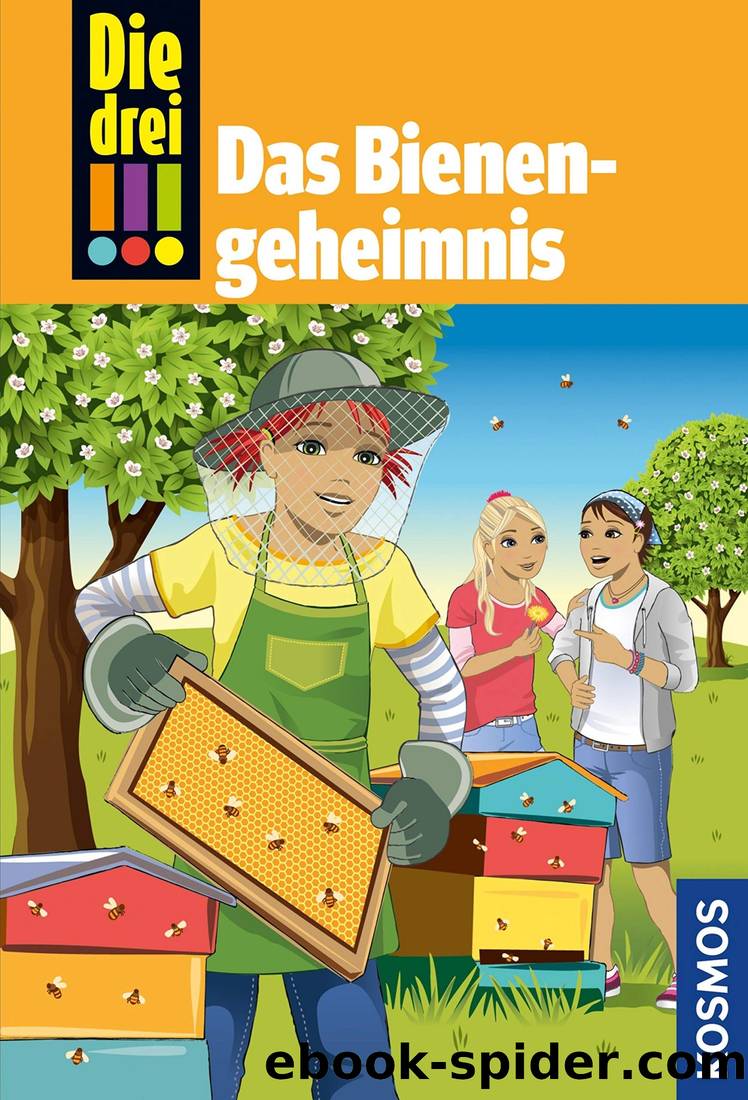 Das Bienengeheimnis by Vogel Kirsten