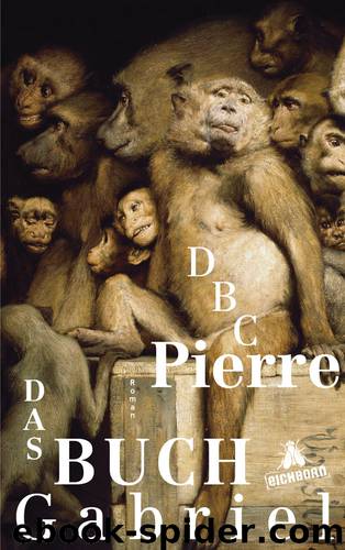 Das Buch Gabriel by Dbc Pierre