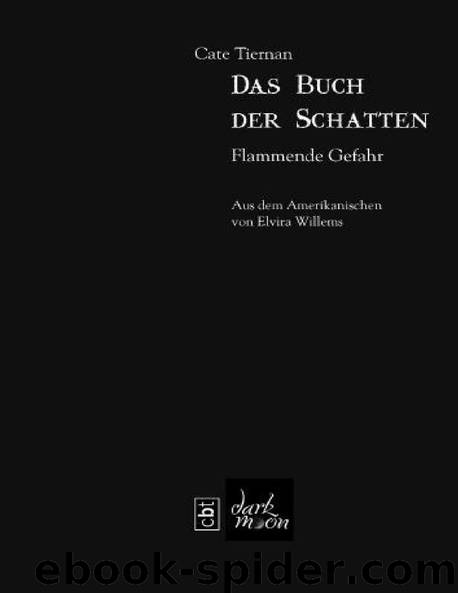 Das Buch der Schatten - Flammende Gefahr: Band 4 by Tiernan Cate