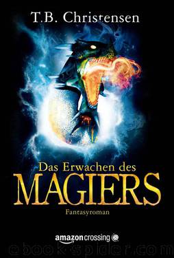 Das Erwachen des Magiers (German Edition) by Christensen T.B