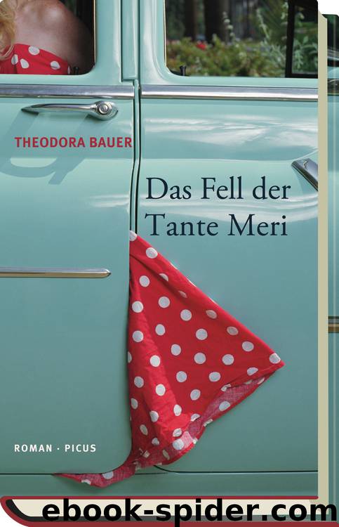 Das Fell der Tante Meri by Theodora Bauer