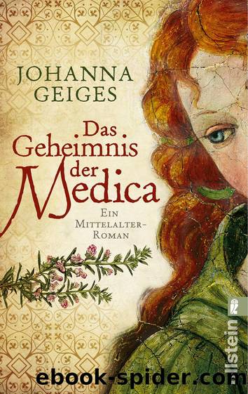 Das Geheimnis der Medica by Johanna Geiges