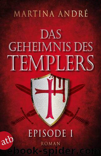 Das Geheimnis des Templers - Episode I: Ein heiliger Schwur (German Edition) by André Martina