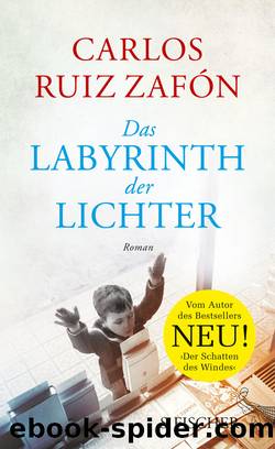 Das Labyrinth der Lichter by Zafón Carlos Ruiz