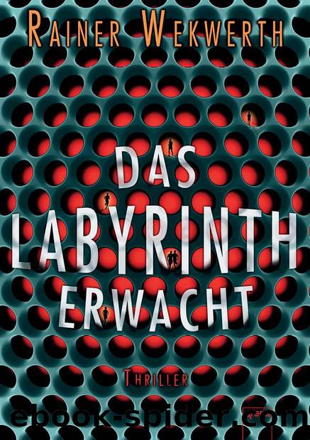 Das Labyrinth erwacht: Thriller (German Edition) by Wekwerth Rainer