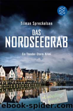 Das Nordseegrab. Ein Theodor Storm-Krimi by Tilman Spreckelsen